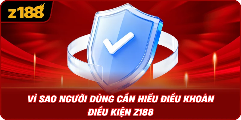 Vì Sao Người Dùng Cần Hiểu Điều Khoản Điều Kiện Z188